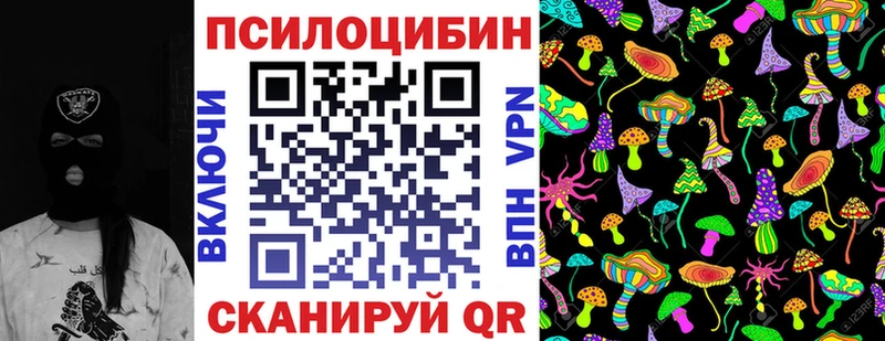 мега зеркало  Котовск  Псилоцибиновые грибы Cubensis 