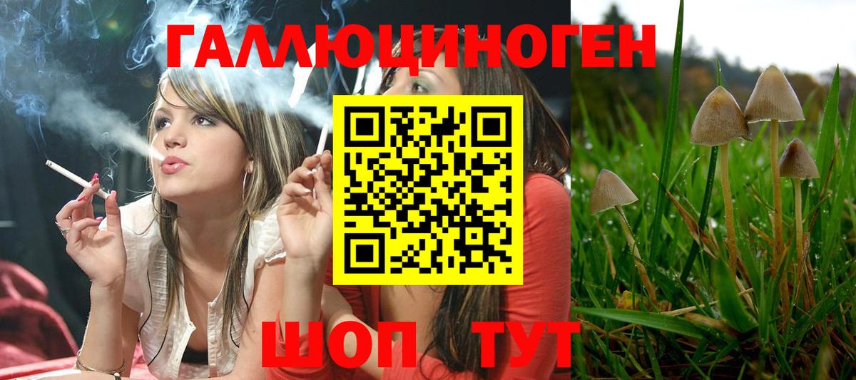Псилоцибиновые грибы GOLDEN TEACHER  Вход с VPN  Котовск 