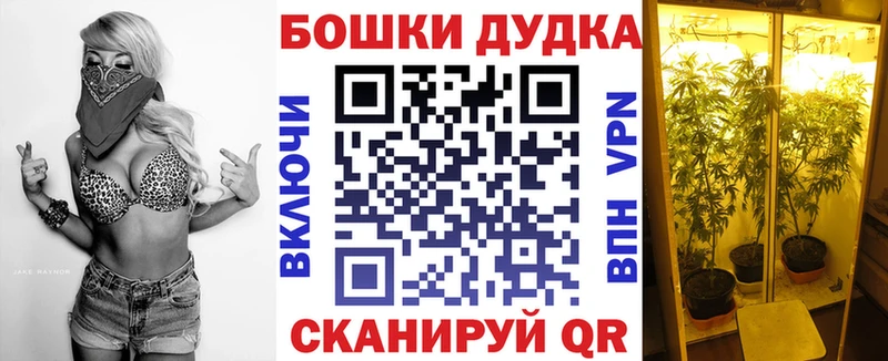 Каннабис индика  Котовск 