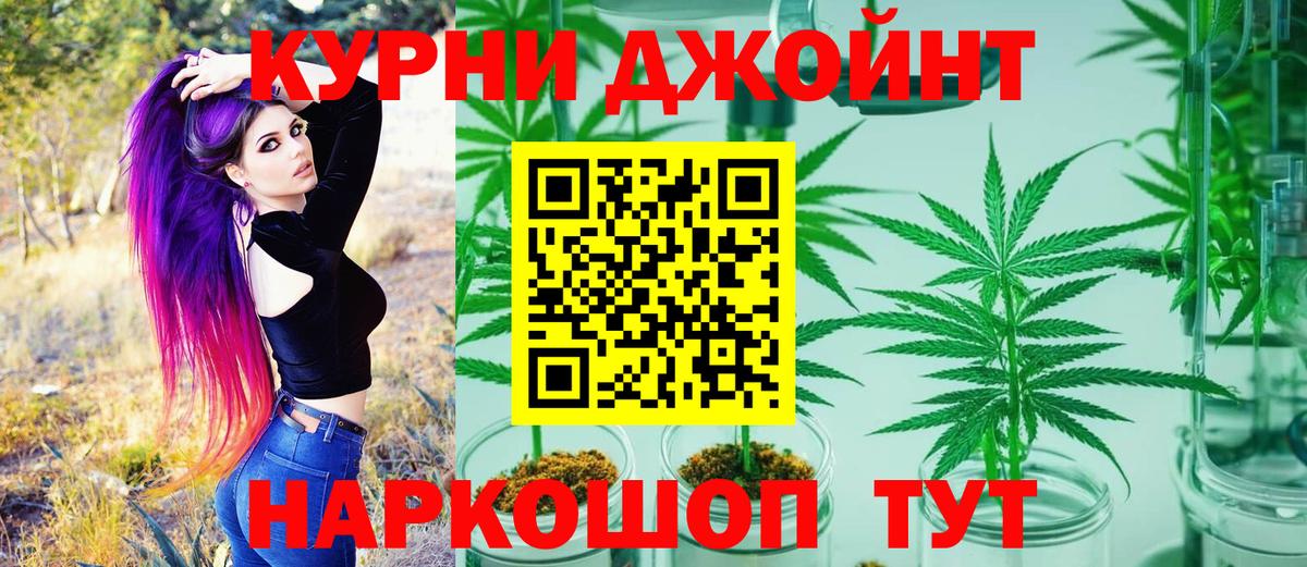 МАРИХУАНА сатива Котовск